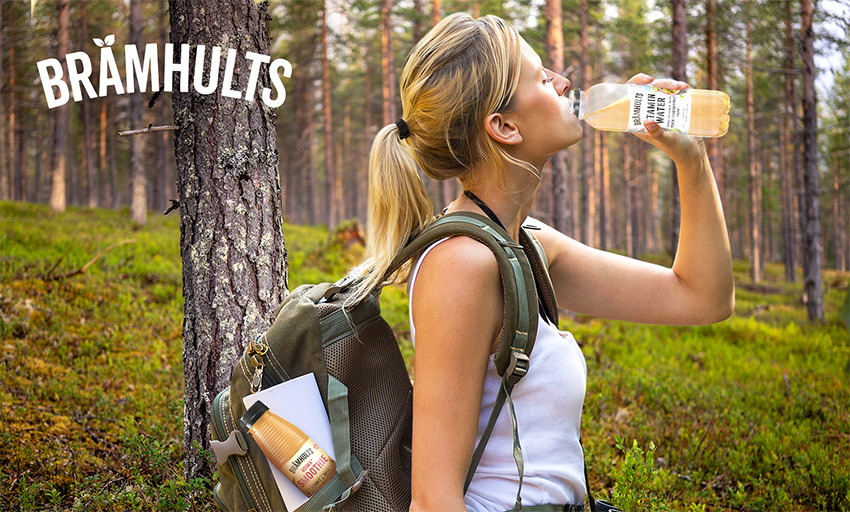Brämhults