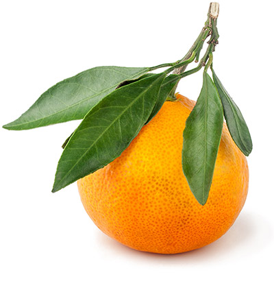 Appelsiini