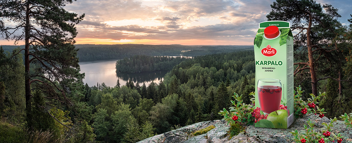 Marli Perinteiset mehujuomat