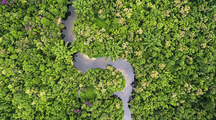Metsänsuojelu Amazonissa